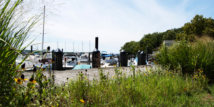 Feature photograph of Fort Washington Marina Master Plan and Stormwater Mitigation Plan